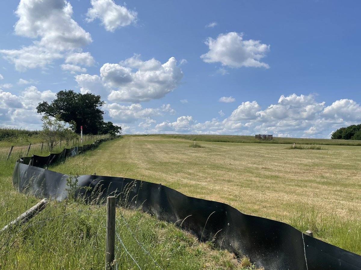 JPCurtinClimate's tweet photo. 1/ Many of us would walk right past this field. But dig a little below the surface and you will find the source of one of #TeamEAs biggest groundwater clear up projects. A (scary) thread 🧵ps the black fence is to keep newts out and keep them safe!…#geographyteacher https://t.co/wOIPMYa0ab