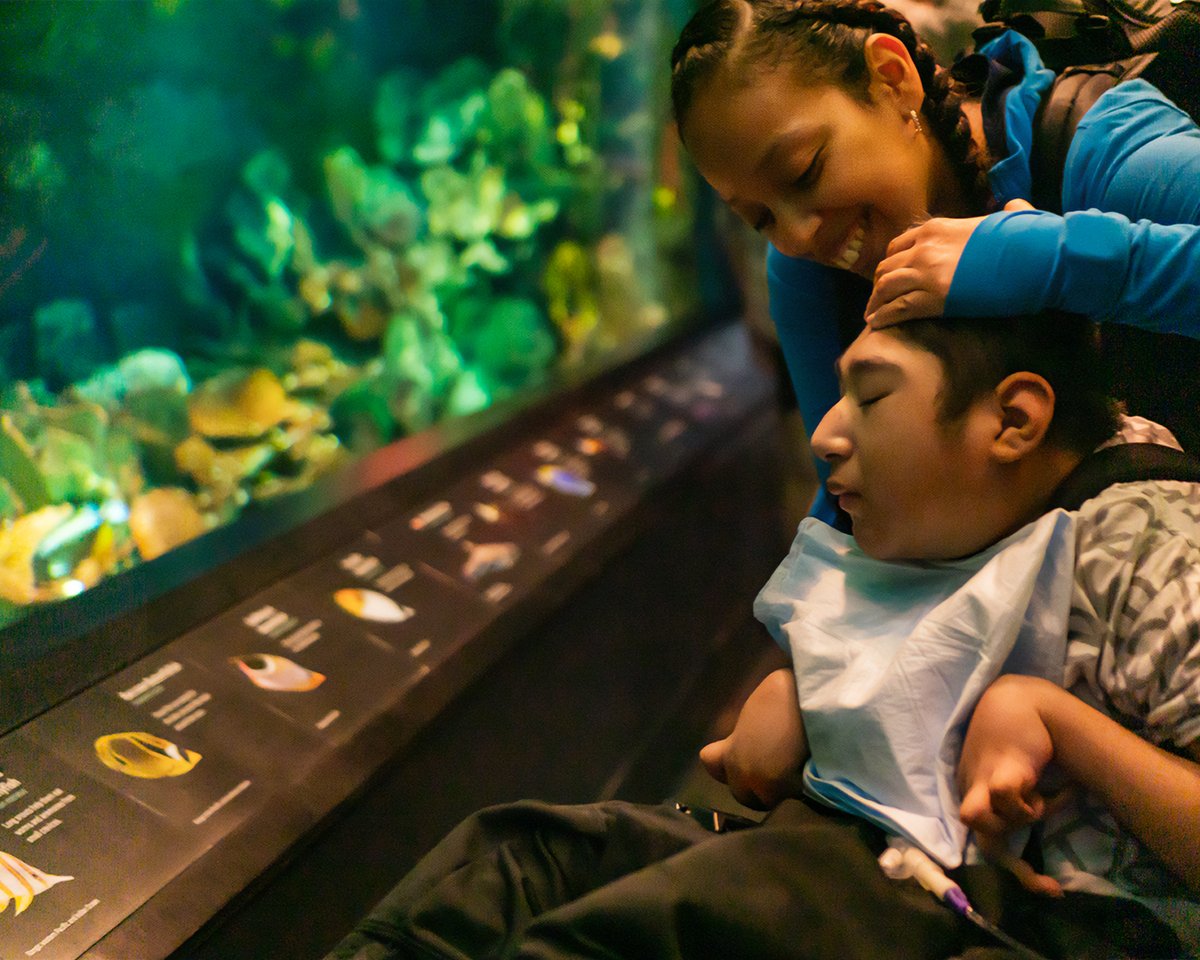 A trip down to the New York Aquarium! 

#iBRAIN #Aquarium #BrainBasedDisorders #BrainInjury #OT #OTGoals #Accessibility #Disability #iBrainAcademy #iBrainInstitute #iBrainCenter #Vision #School #Teacher #Blindness #TherapistsOfInstagram #MuscleCoordination #Stimulation #Posture