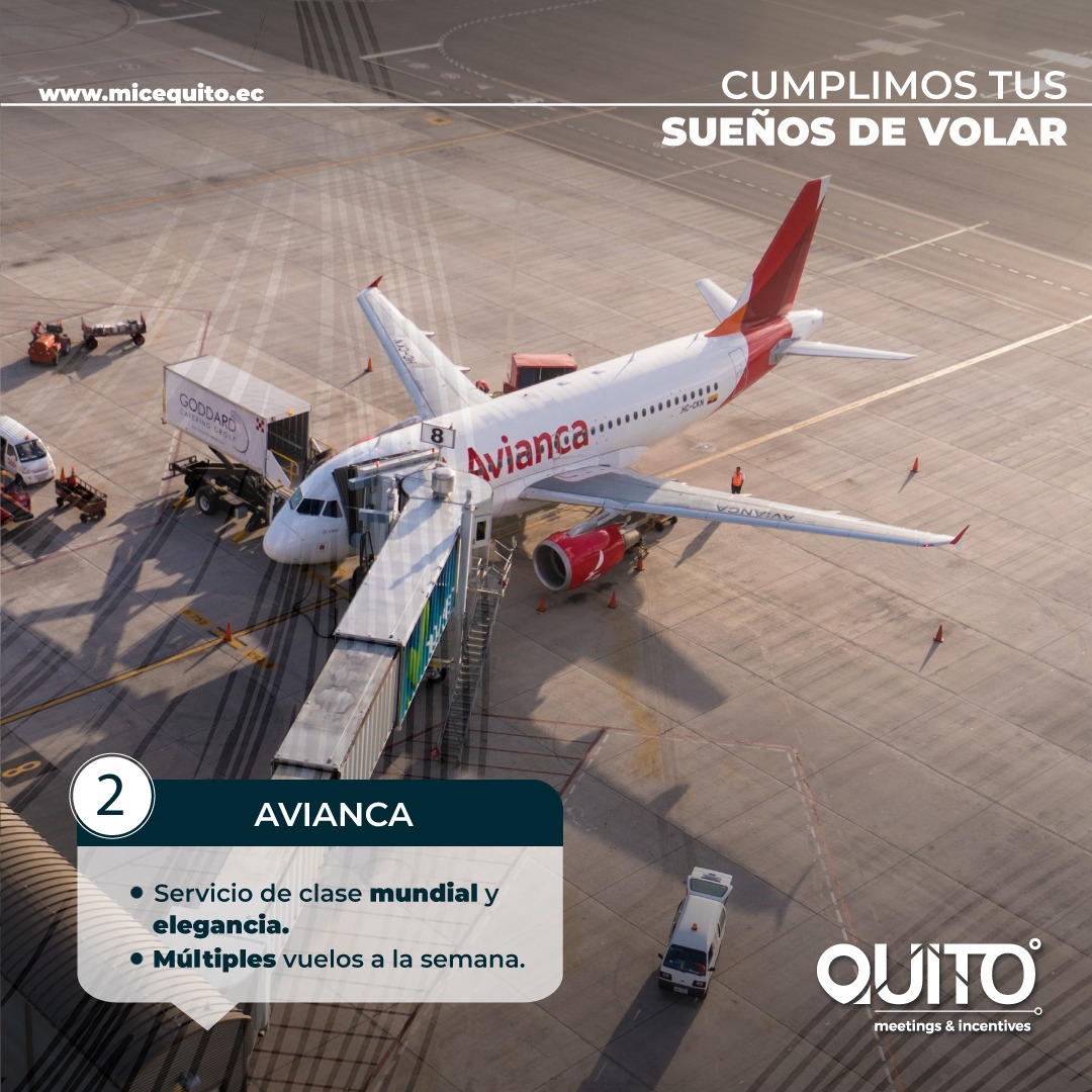 Meet In Quito tweet media