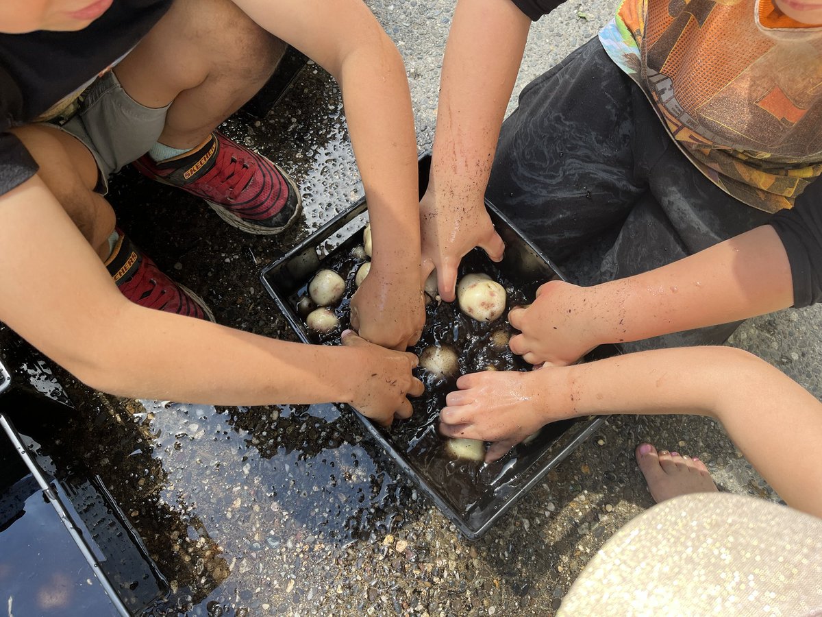 ColdstreamElementary tweet media