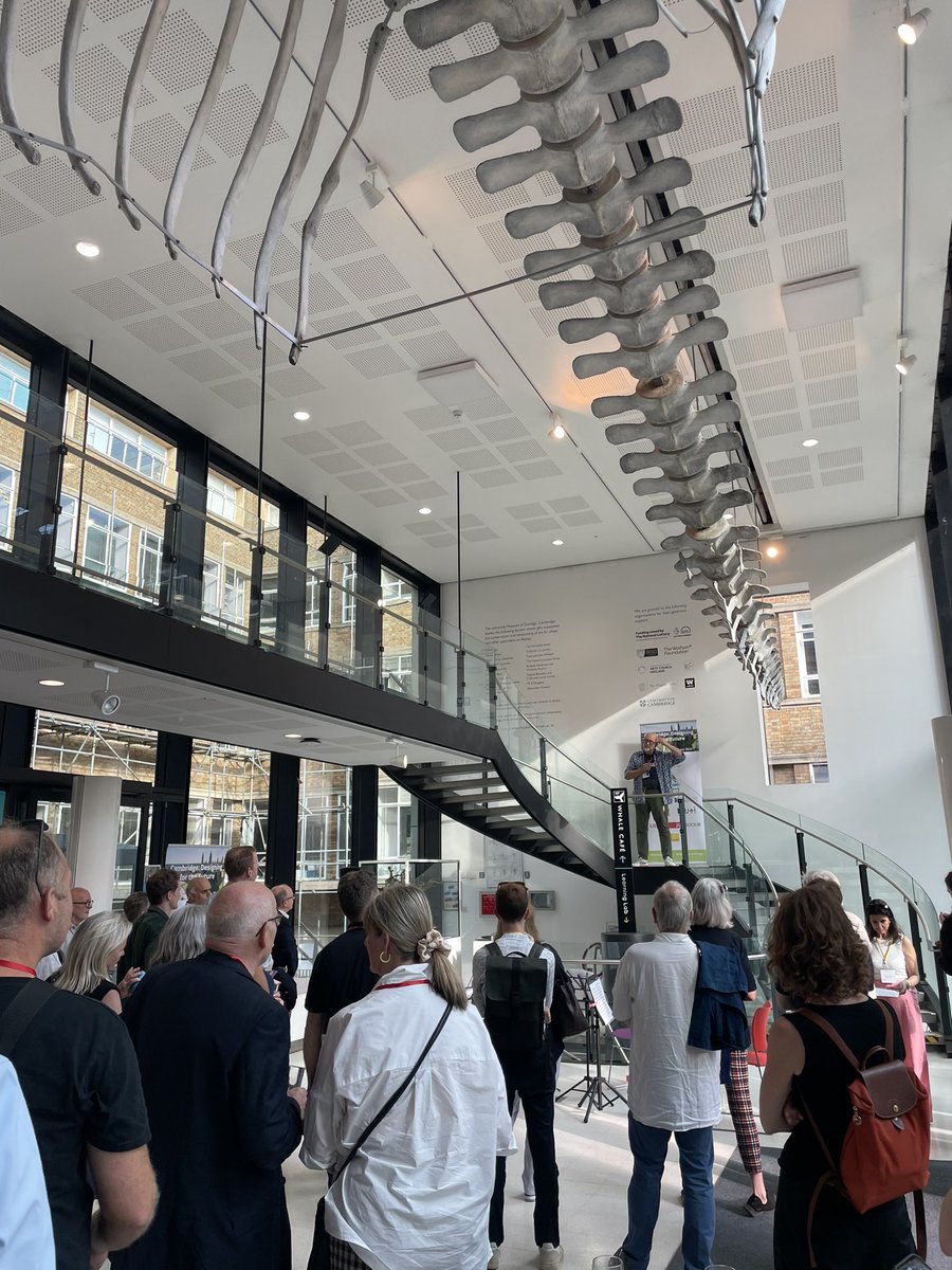 Shane Quinn tweet media