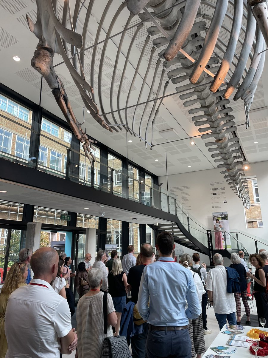 Shane Quinn tweet media