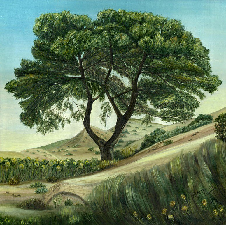 This is my painting 'Desert Pine'.

You can find very nice prints of it here: fineartamerica.com/featured/deser…

#art #painting #arte #artlovers #kunst #artprints #oilpainting #contemporaryart #ArtistOnTwitter #landscape #tree #Spain #Níjar #Almería #Pine #Desert