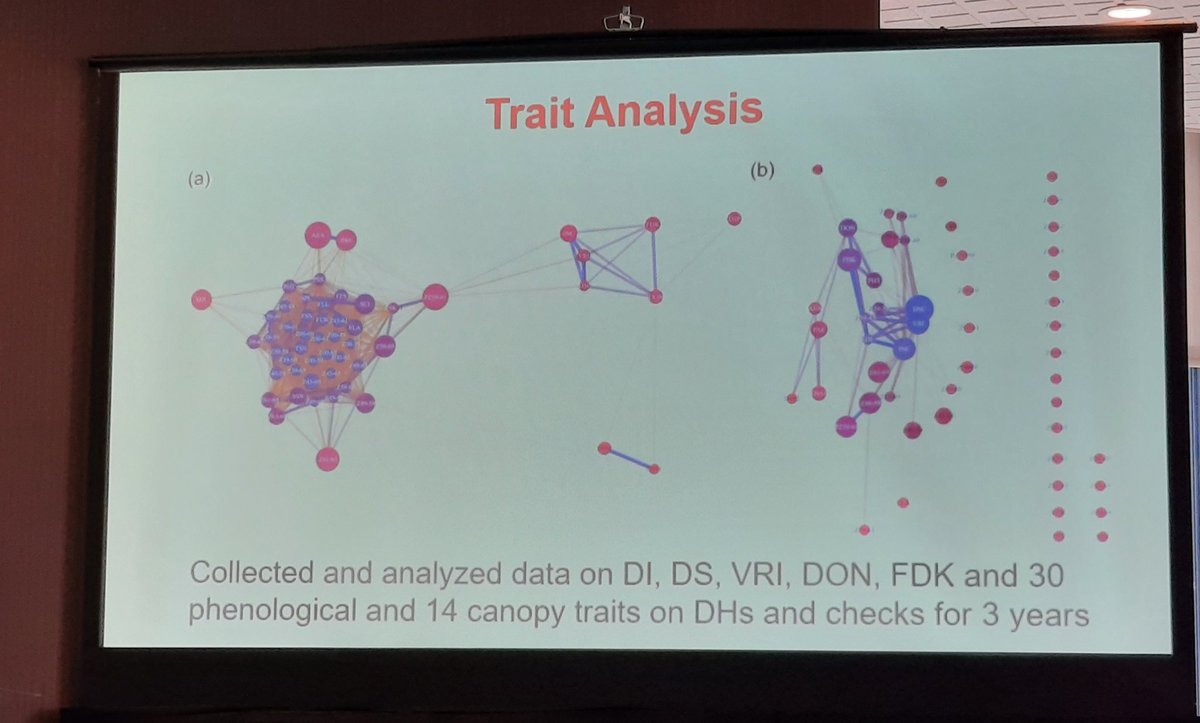 WheatSingh's tweet photo. Raman presented our exciting work on the development of breeder friendly makers for #FHB Resistance from AAC Tenacious. Work funded by @ABInnovates and @ABWheatBarley @AAFC_Canada @AgronomyCanada @phytopathca #GeneticsAtWork #CanTrisociety2023 #Ottawa https://t.co/RA0uvTYEma