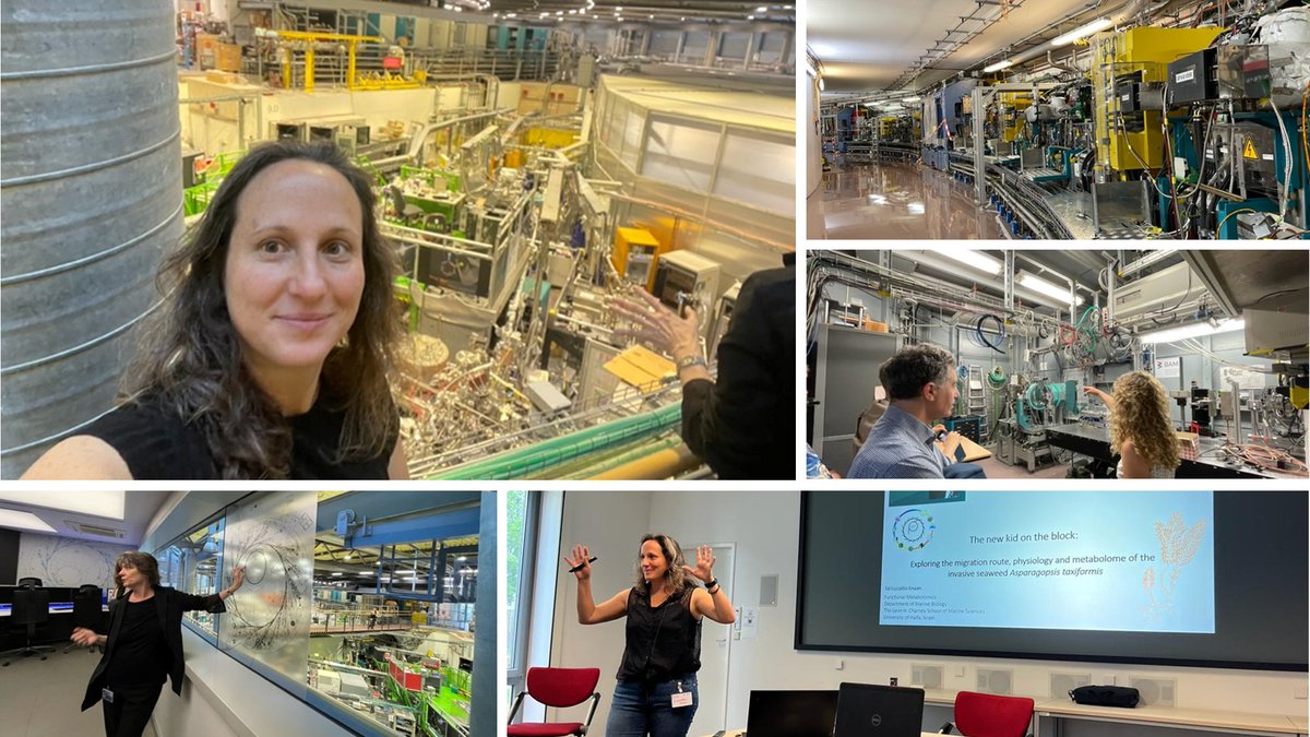 TLK_Lab's tweet photo. @Mass_Coral_Lab @HZB_BESSY Inspiring visit at @HZB_BESSY Synchrotron during the Minerva-Gentner Symposia https://t.co/2X3bSaCpbH https://t.co/L29JrBslxE