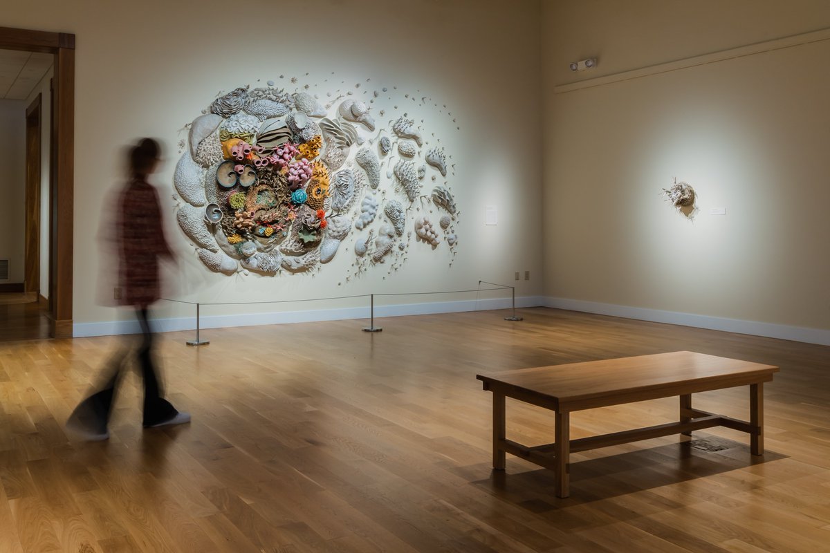 Courtney Mattison creates intricate and large-scale ceramic sculptural works that visualize climate change through the fragile beauty of marine life. "Courtney Mattison: Undercurrent" is on view at the Minnesota Marine Art Museum now through September 3.
mmam.org/courtney-matti…