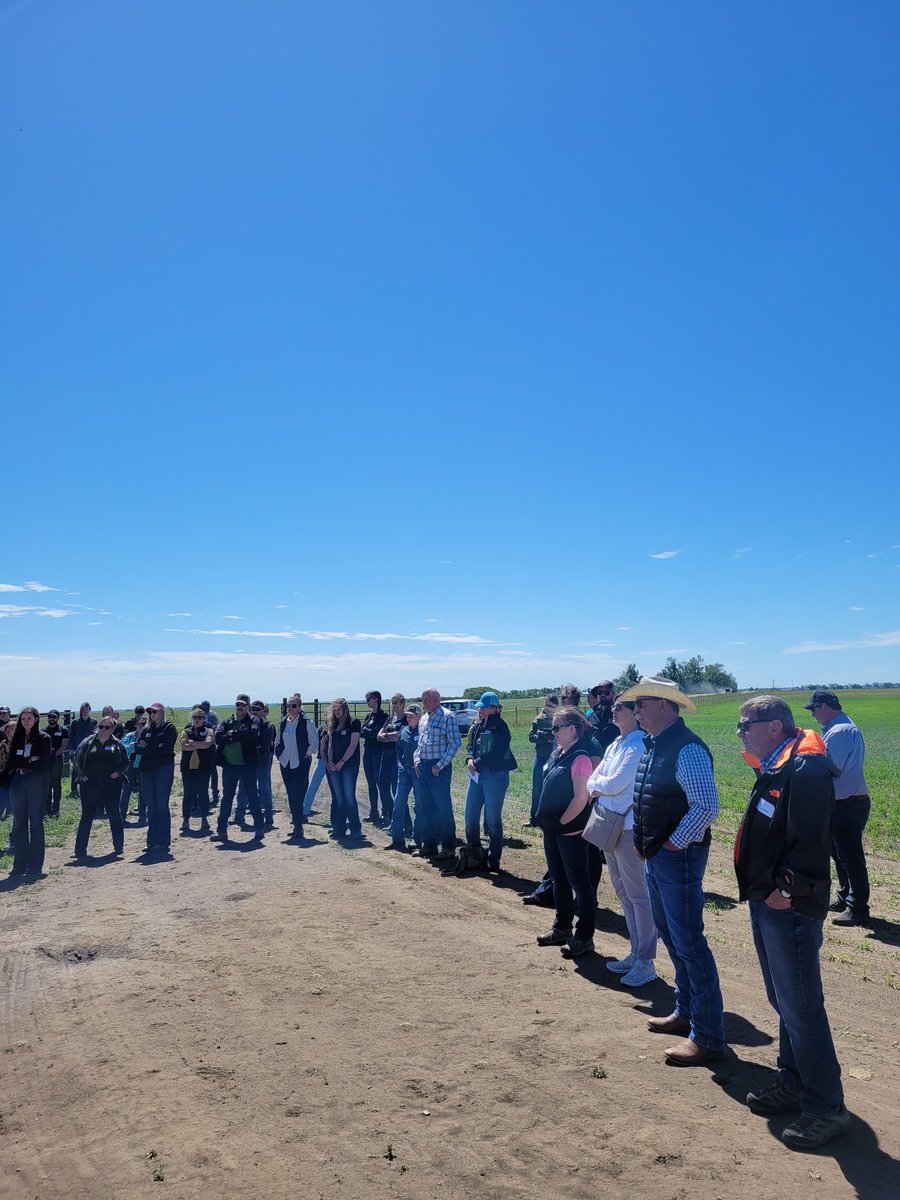 DrBart_Beef's tweet photo. Great field day and presentations by @WilcoxCorissa @ECornand #AlternativeMineralStrategies #MultiMin #CanolaFatCowDiets #FetalProgramming @agbiousask @SaskCanola @SaskCattlemens @LFCE_usask https://t.co/8bpKoJXBTS