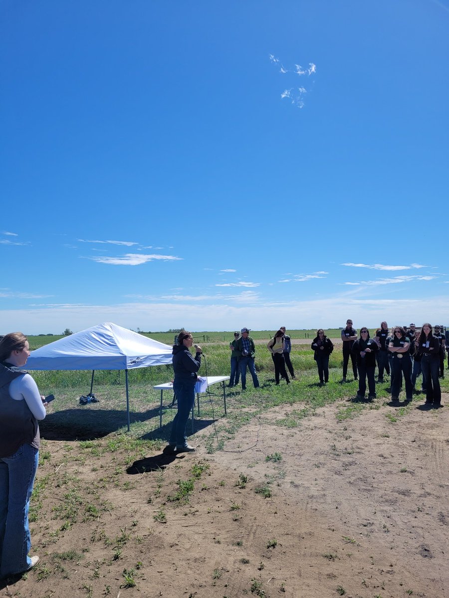 DrBart_Beef's tweet photo. Great field day and presentations by @WilcoxCorissa @ECornand #AlternativeMineralStrategies #MultiMin #CanolaFatCowDiets #FetalProgramming @agbiousask @SaskCanola @SaskCattlemens @LFCE_usask https://t.co/8bpKoJXBTS