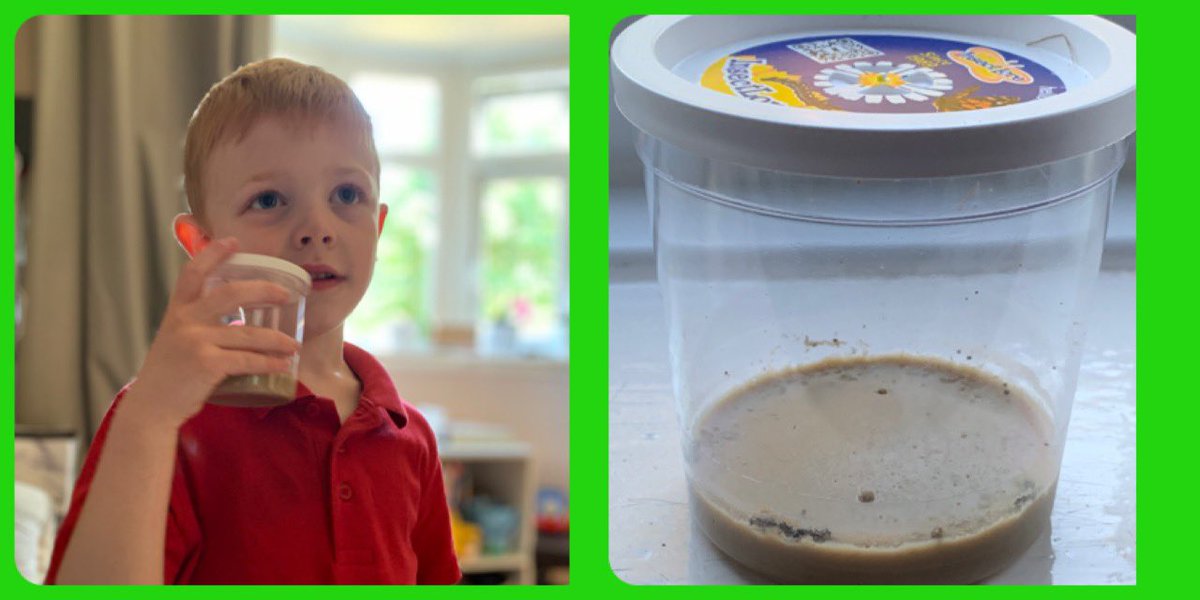 And so it begins  we are very  excited 😆 🐛 🦋  <a href="/BG_Hares/">Hares @ Burton Green Primary School</a> @InsectLoreEU  <a href="/insectweek/">Insect Week</a>