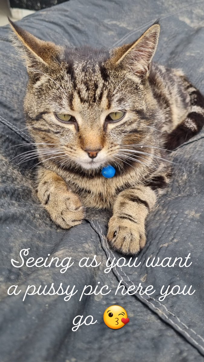 Rose93w's tweet photo. Pussy pic??? https://t.co/hvCnzqxrsq