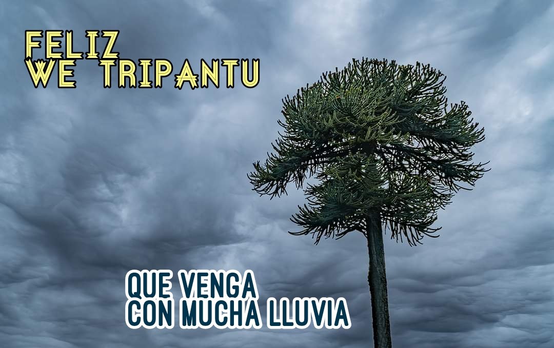 El Rimero (@el_rimero) on Twitter photo 
