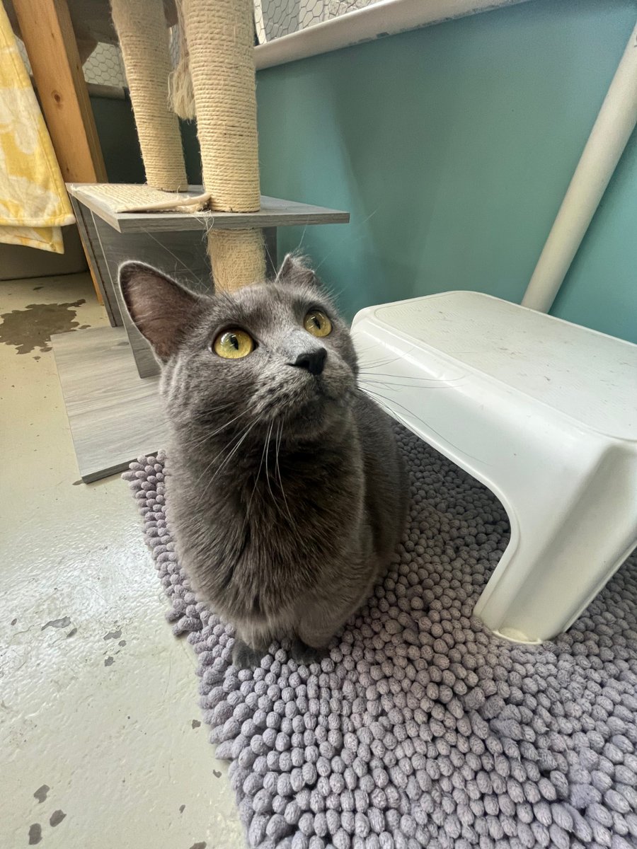antisquid's tweet photo. everybody, pepper. pepper, everybody https://t.co/1CBZoyVZAi