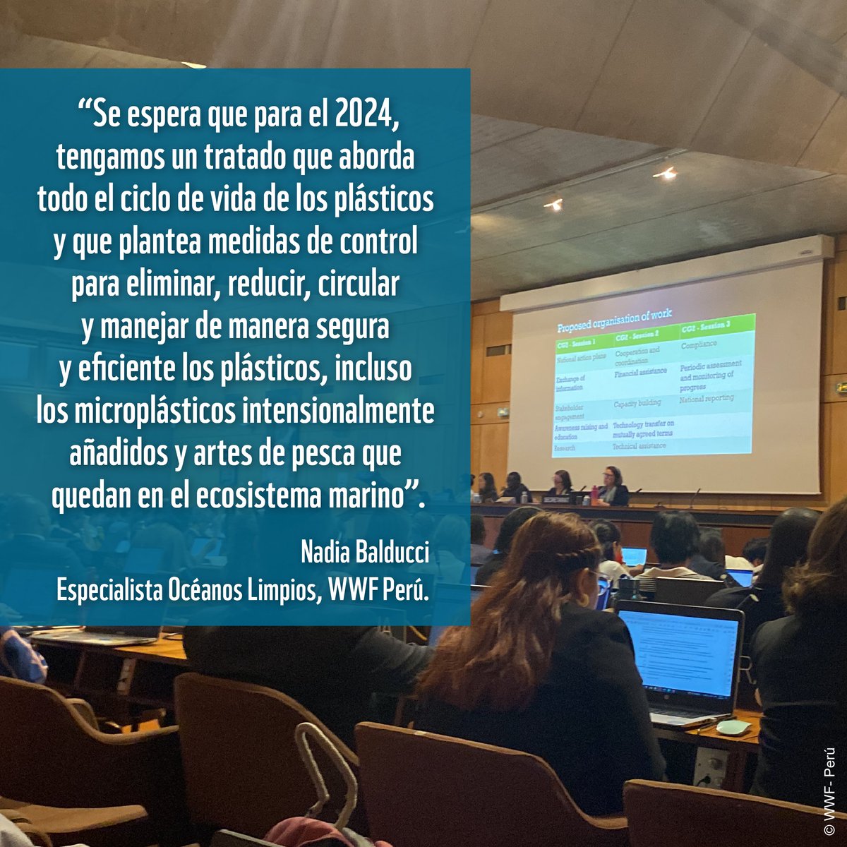 WWF_Peru's tweet photo. #TratadoGlobalDePlástico | WWF-Perú acompañó al equipo de #PlasticPolicy, asegurando el cumplimiento de los objetivos propuestos para esta sesión y promoviendo recomendaciones ➡️ https://t.co/GguSRXDW7X
#INC-2  #NaturalezaSinPlásticos https://t.co/M8kKHLixEp
