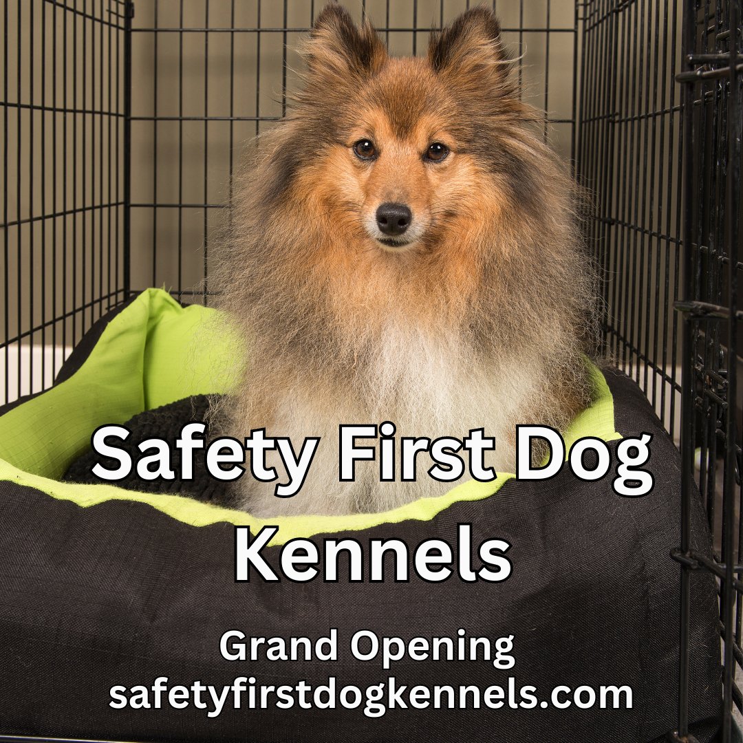 Safety First Dog Kennels (safety1stdog) / Twitter