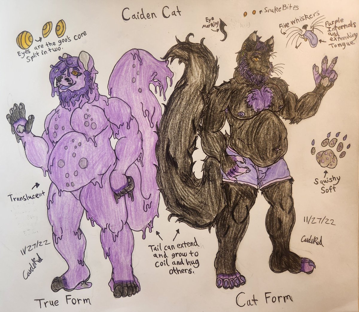 CaidenCat tweet media