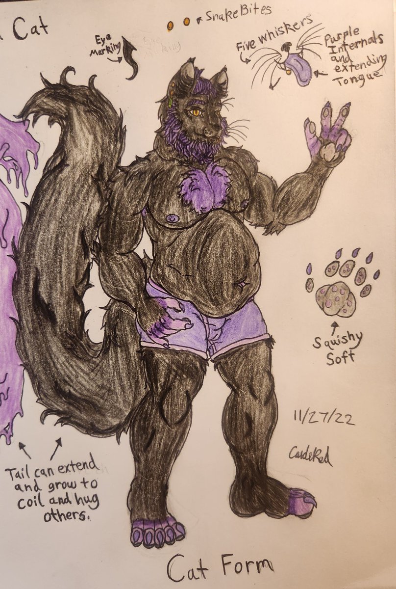 CaidenCat tweet media