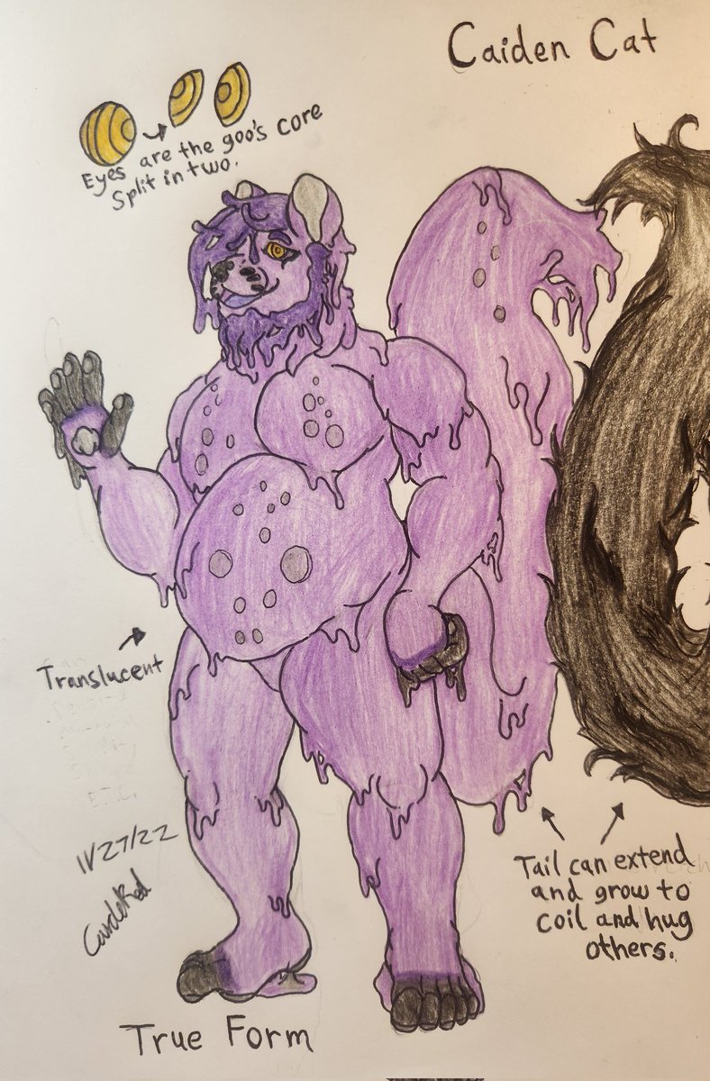 CaidenCat tweet media