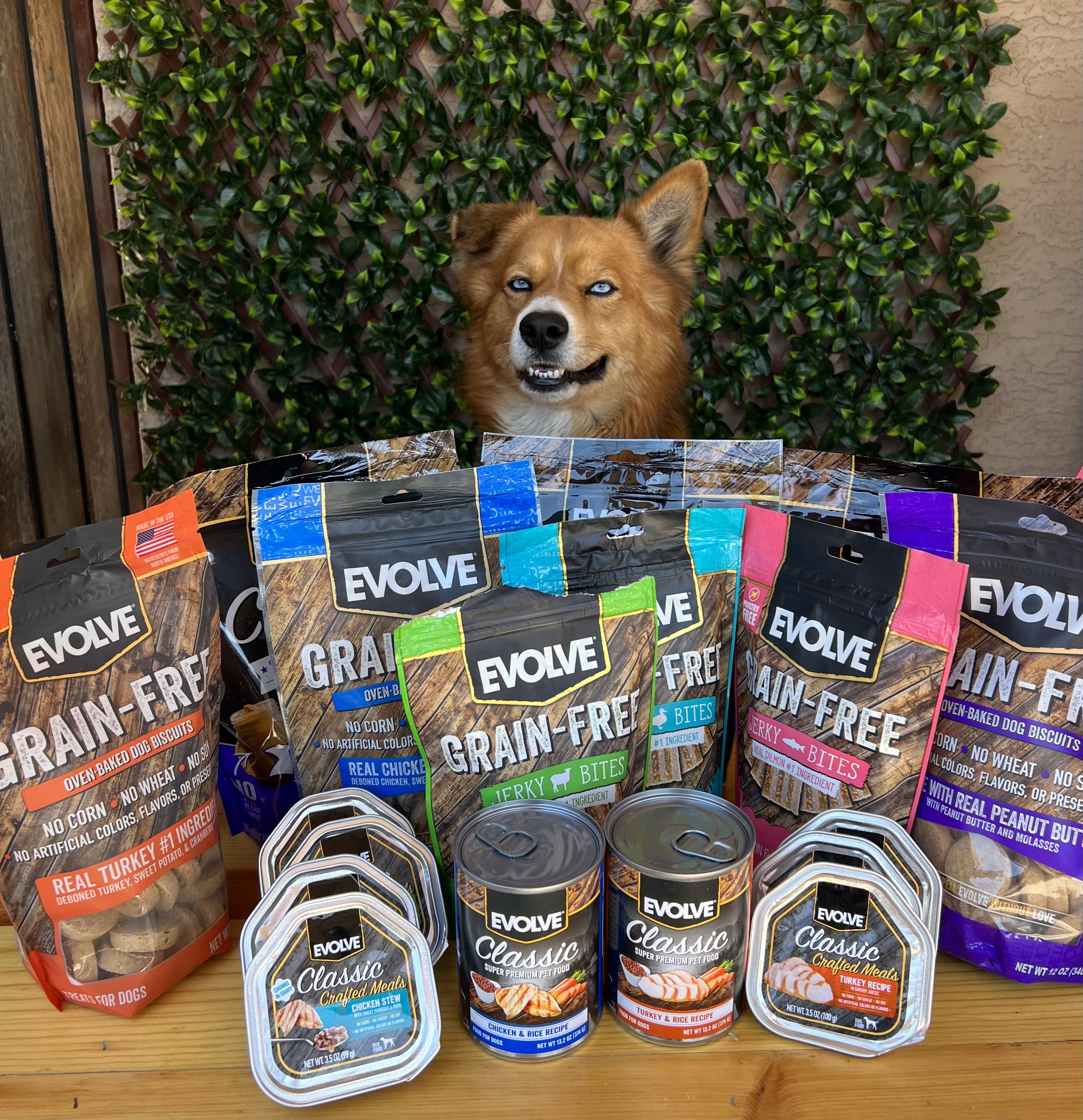 Evolve classic top dog food