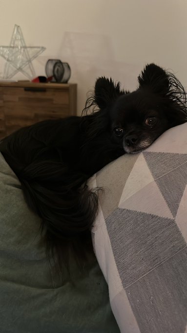 TW Pornstars - Jen Flix PINK CANOE CLUB™️. Pictures and videos from