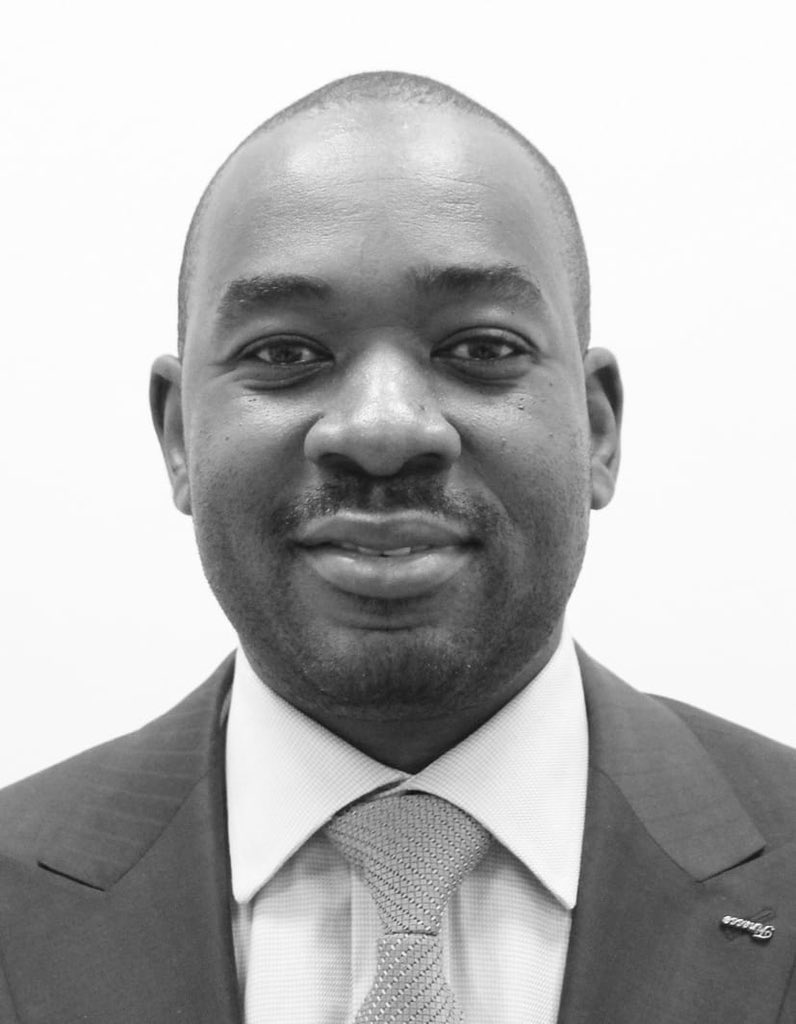 <a href="/ProfJNMoyo/">Prof Jonathan Moyo</a>