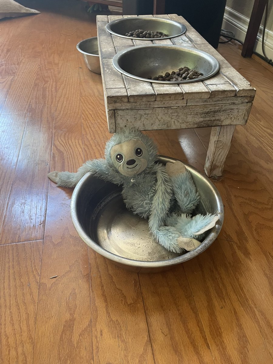 This cracked me up! 

Somehow Oli’s monkey toy ended up in his water bowl, and now it looks like it's casually chilling while having a soak. 😂😂😂

#funny #chilling #chillaxing #dogtoy #monkey #monkeytoy