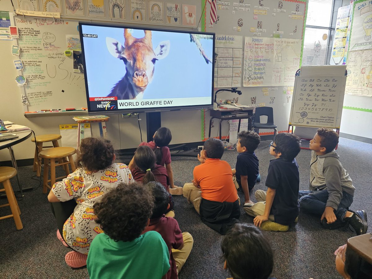 MsSandtotheoval's tweet photo. Happy World Giraffe Day! Did you know that giraffes are the tallest terrestrial animals and a baby giraffe can be taller than a human! We are so a head above the rest🦒 @Save_Giraffe @ajbushelem #WorldGiraffeDay2023 #BobcatsStillLearning https://t.co/K5Acv0Q1JF