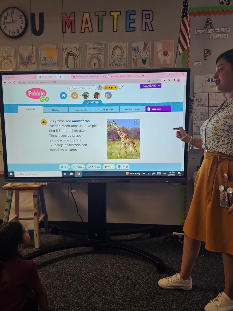 MsSandtotheoval's tweet photo. Happy World Giraffe Day! Did you know that giraffes are the tallest terrestrial animals and a baby giraffe can be taller than a human! We are so a head above the rest🦒 @Save_Giraffe @ajbushelem #WorldGiraffeDay2023 #BobcatsStillLearning https://t.co/K5Acv0Q1JF