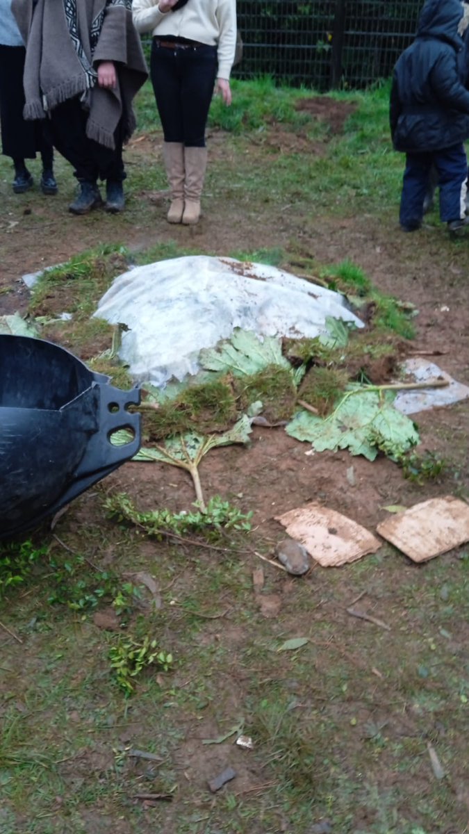 NewArtemis22's tweet image. Randoms de Twitter: deja de decir que eres de origen indígena/mapuche. ¡Eres española y blanca!

Las fotos que me manda mi hermana del we tripantu #mapuche #reconectando