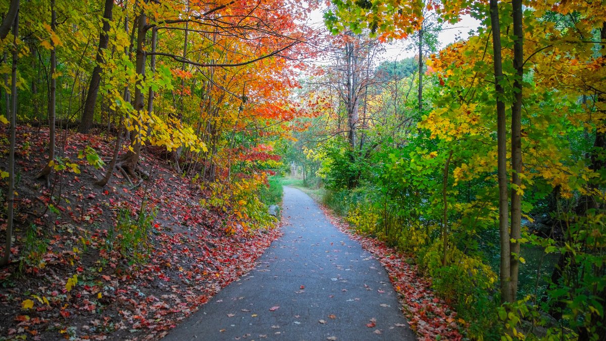 lashawnavyl's tweet image. The world is full of kindness and love. Look for it and you&apos;ll find it.