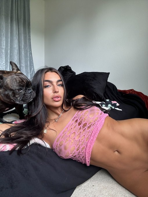 Trying to film with a Frenchie be like: https://t.co/A9gLoYPu1v