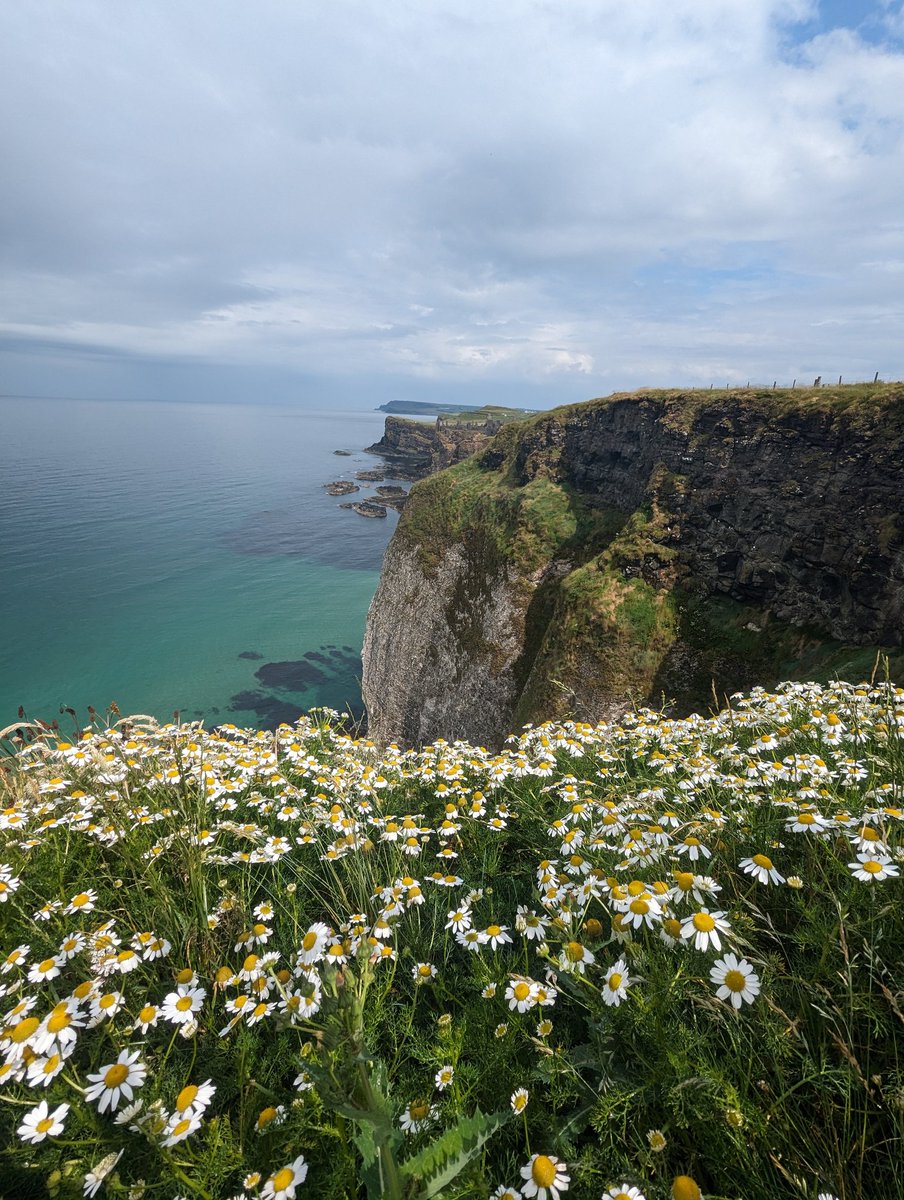 Gemma O'Neill (@gemsoneill) on Twitter photo I'm doing the <a href="/macmillancancer/">Macmillan Cancer Support</a> Giant's Causeway Mighty Hike marathon over these gorgeous cliffs this weekend! Please donate and share if you can folks ❤️ And thank you so much if you've donated already. It honestly means the world to me. Donate here ➡️ ➡️ justgiving.com/fundraising/ge… I'm doing the <a href="/macmillancancer/">Macmillan Cancer Support</a> Giant's Causeway Mighty Hike marathon over these gorgeous cliffs this weekend! Please donate and share if you can folks ❤️ And thank you so much if you've donated already. It honestly means the world to me. Donate here ➡️ ➡️ justgiving.com/fundraising/ge…