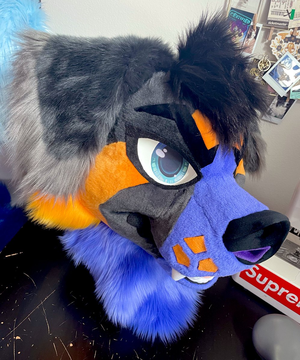 This fluffy doggo is ready to cause some mischief! Salem the Bernese mountain dog for @HokuTiger87 🔥🪶