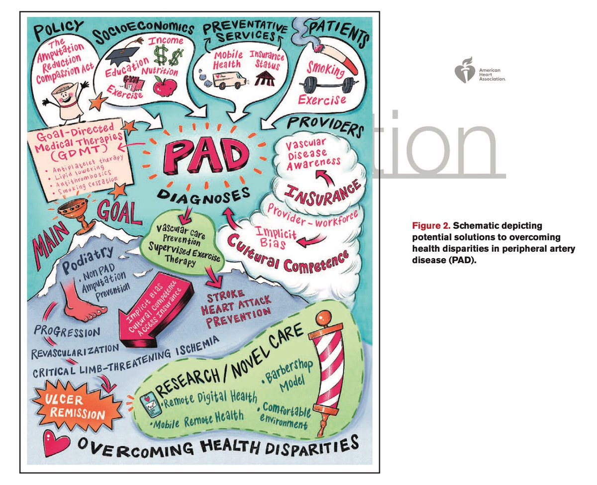 Potential solutions to overcoming health disparities in peripheral artery disease (PAD) from our collective scientific statement in @CircAHA