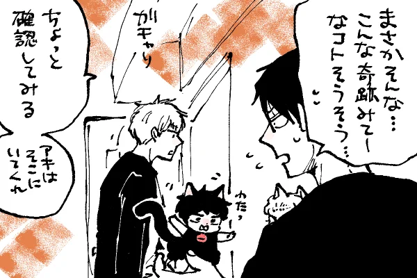 🐱キラキラにゃんこ生活 上田先生動く😲