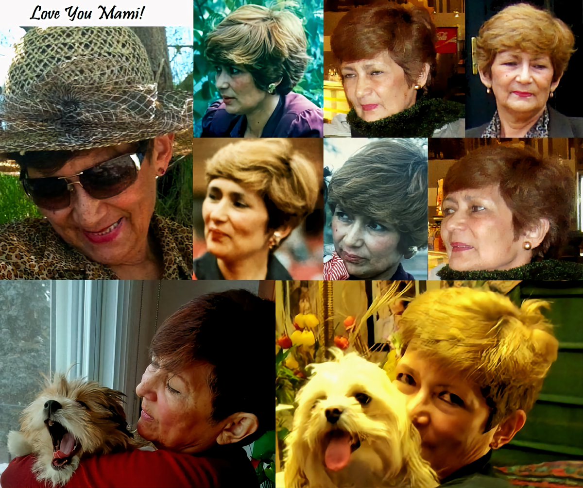 E Fabian tweet media