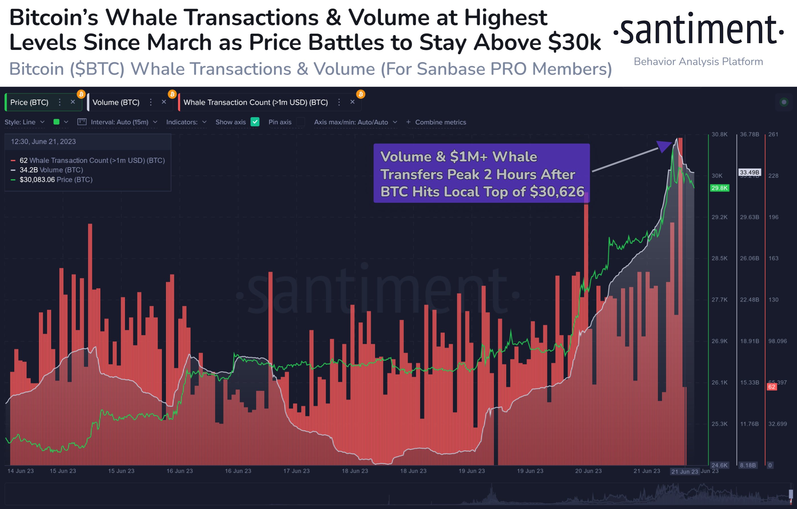 Bitcoin Whale Transaction Count