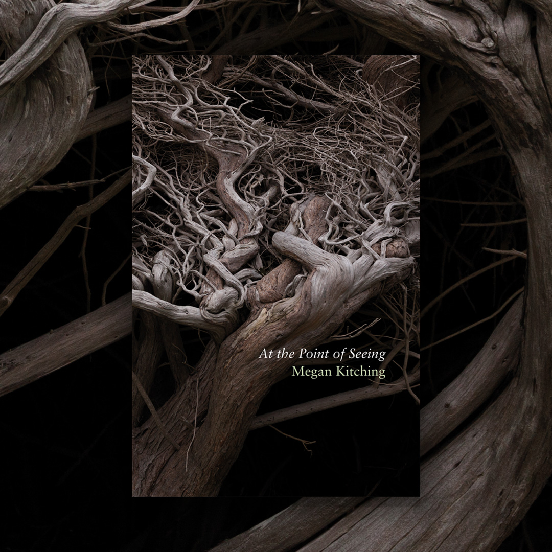 OtagoUniPress's tweet photo. Happy publication day to At the Point of Seeing by Megan Kitching 🌟🌲
Find in your local bookstore or online at https://t.co/bvhv50Tae4 #poetry https://t.co/yWNwnNo27q