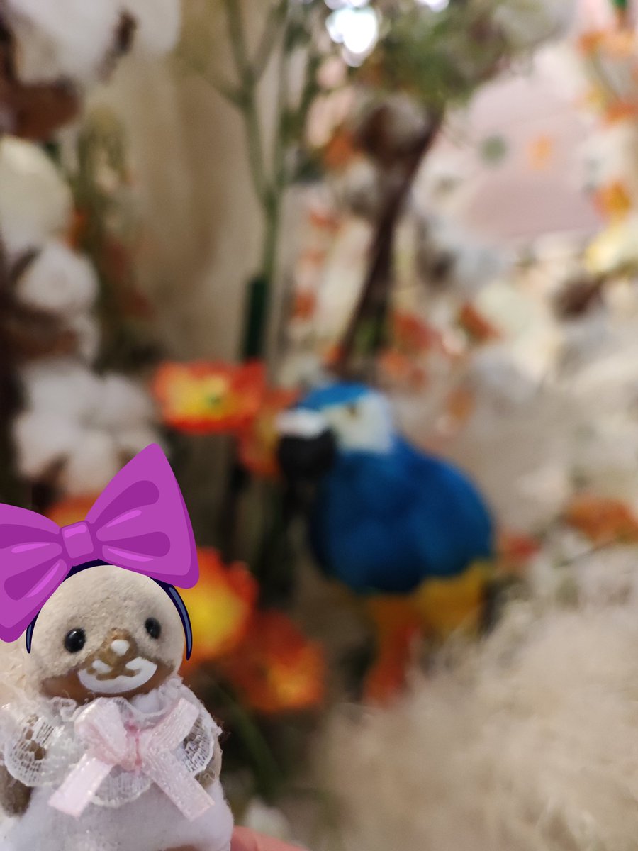 schrei_und_tod's tweet photo. Happy Birthday Shima Bebe ๐๐๐
#cute #ใใใใ #cutenessOVERLOAD #ใทใซใใใขใใกใใชใผ #ใทใใใณ #ใทใซใใใขใฎ่ตคใกใใ
#calicocritters #SylvanianFamilies
#Gashapon #TheShimmerettes #TheShimmerettinis #ShimaInParis #ShimaTurns7 #ShimaBday https://t.co/MIny4R7m98
