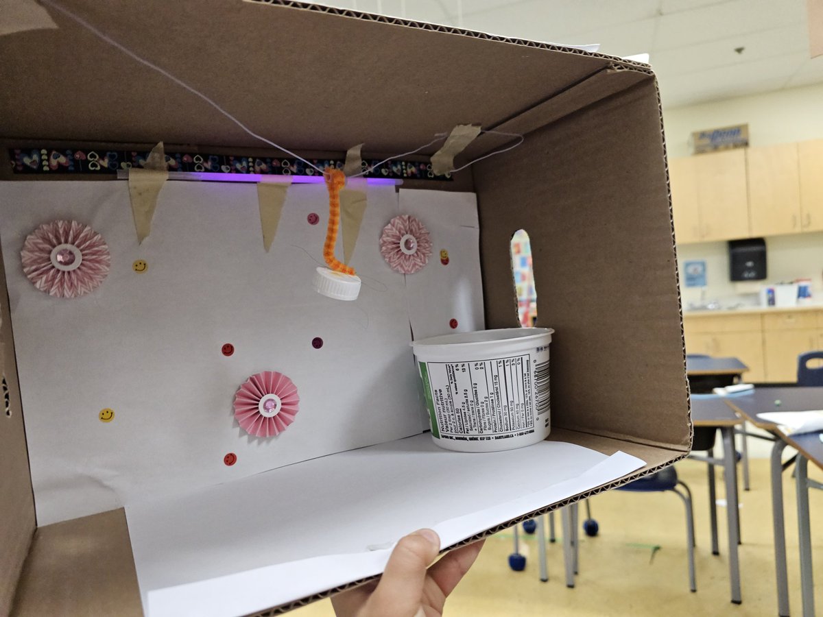 Mrs. Leung-Chow's Grade 1 Class tweet media