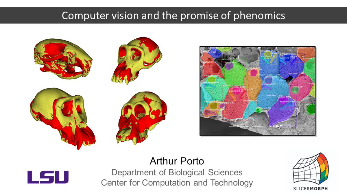 #evolution2023  #Evol2023 I'm heading your way and I will be recruiting PhD students/ Postdocs.
If you're interested in the intersection of computer vision and biology, get in touch! You can also find me after my talk on Saturday morning (Paving the way to the phenome symp.).