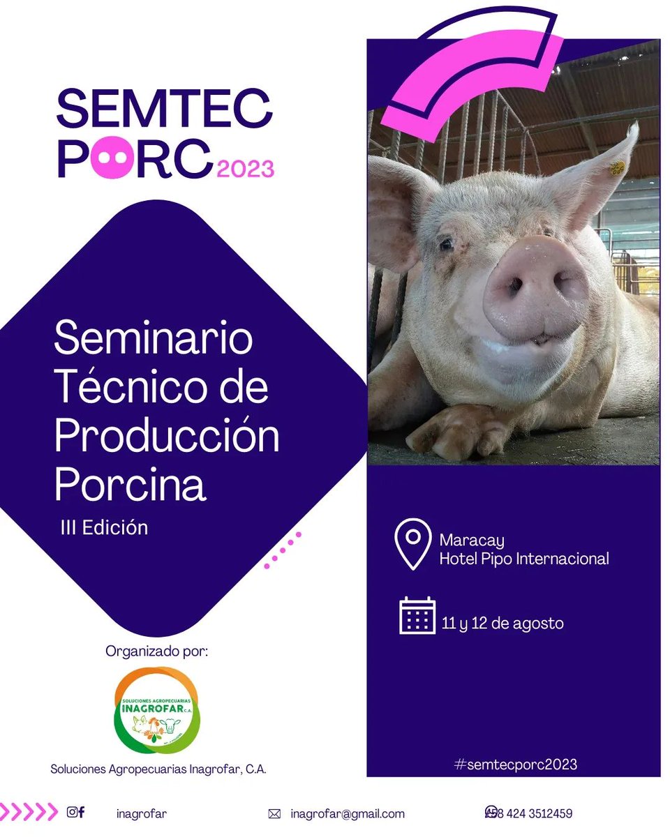 campocafeciudad's tweet photo. SEMINARIO TÉCNICO DE PRODUCCIÓN PORCINA. III EDICIÓN

Lugar: Hotel Pipo Internacional. Maracay, estado Aragua, Venezuela

Fecha: 11 y 12 de agosto de 2023

Organizado por: INAGROFAR @inagrofar

#Venezuela #SeminarioTécnico #Porcinos #Inagrofar #EventosDelAgro #CampoCafeCiudad https://t.co/R5jPL16cN6