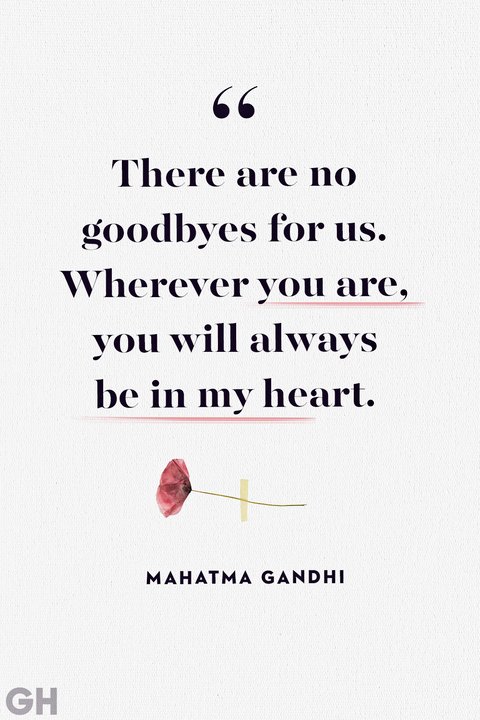 nutsaboutonions's tweet photo. A little over an hour ago my wonderful mother passed away after fighting that awful disease. It was brutal, it was swift, now she's in a better place.  @WolfVanHalen and @MammothWVH for creating The Distance, those words are so true 🫶
Your song brings me comfort 🧡 #TYSM https://t.co/d76CgGzLFV