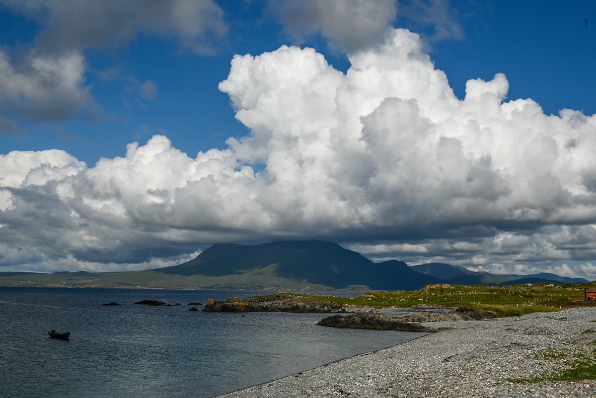 Michael O'Connell tweet media