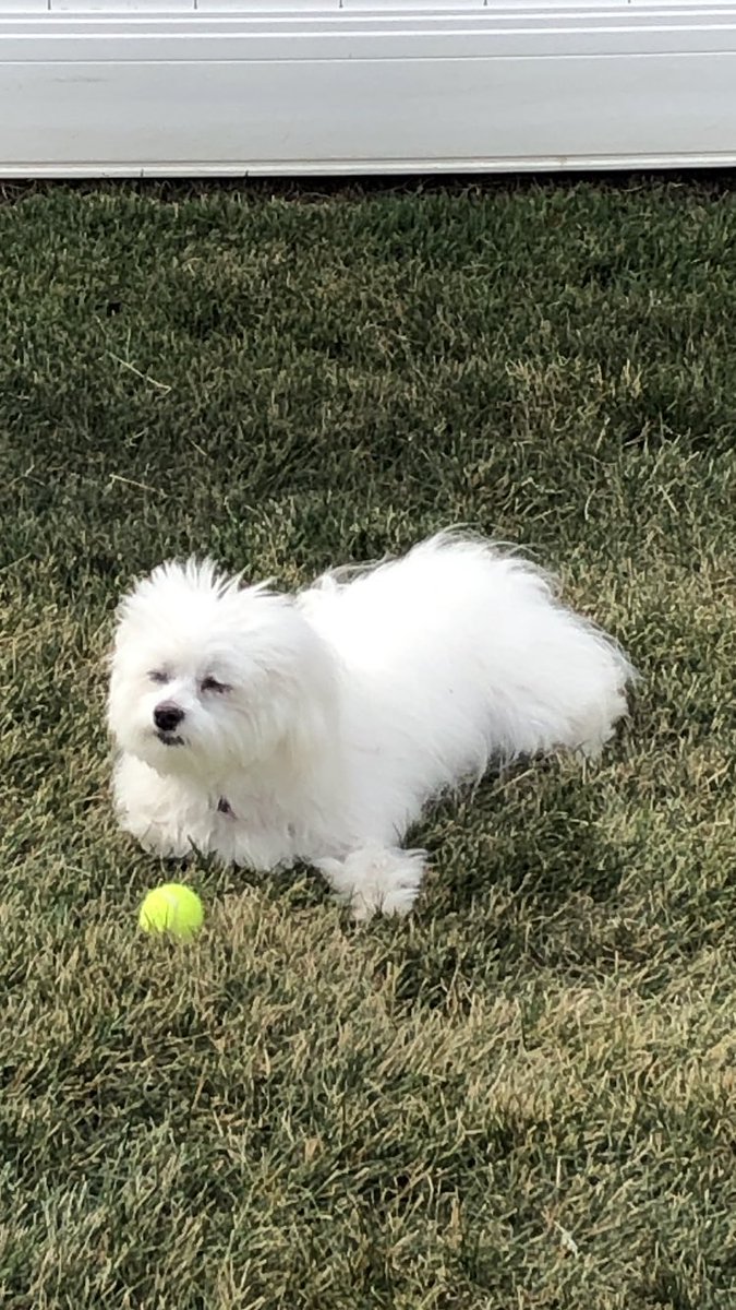 Hi 👋 it’s me Hayden! I’m lovin’ ♥️the wind blowing through my hair…playing ball 🎾 with my sister…Mom says we’re expecting storms⛈️…Have a great night everyone! ✨♥️ #Hayden🤍 #HappyWednesday 🌸❤️🥰 #CalmBeforeTheStorm 🌊