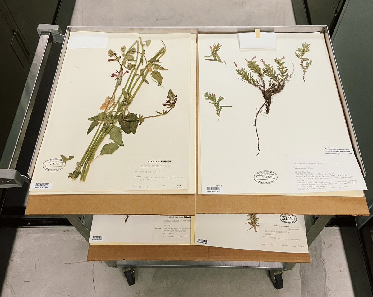 Megan Barkdull tweet media