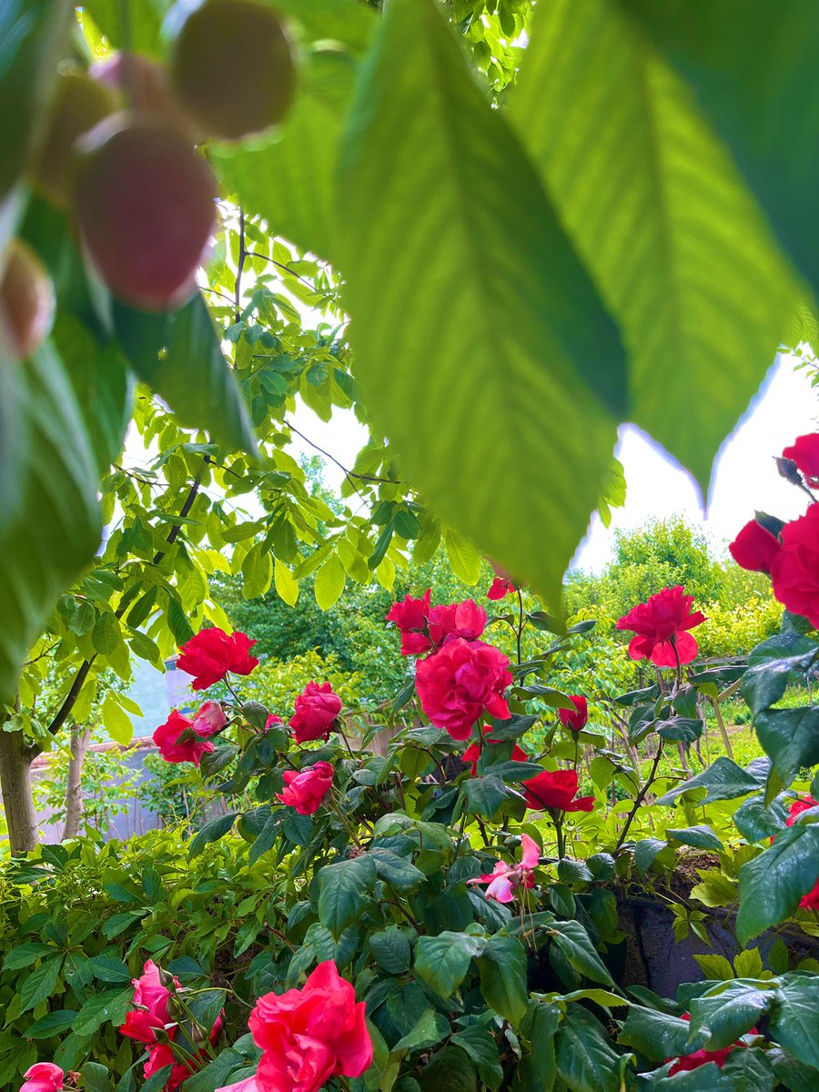 yunusarzk (@yunsarzk) on Twitter photo 