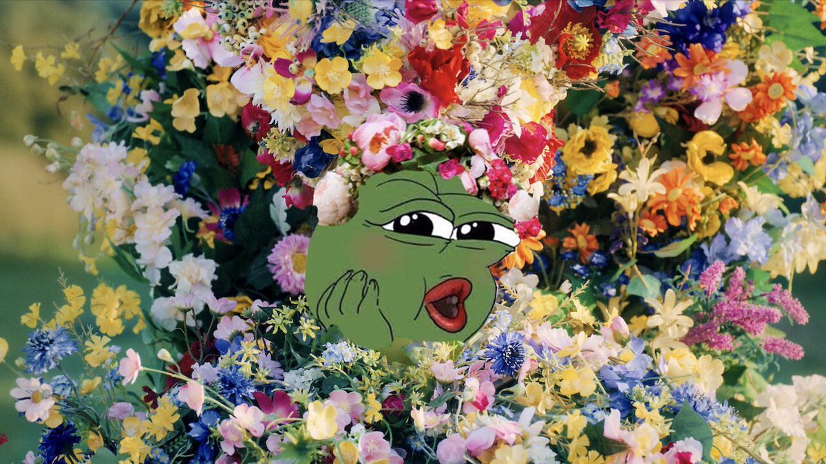 Pepe tweet media
