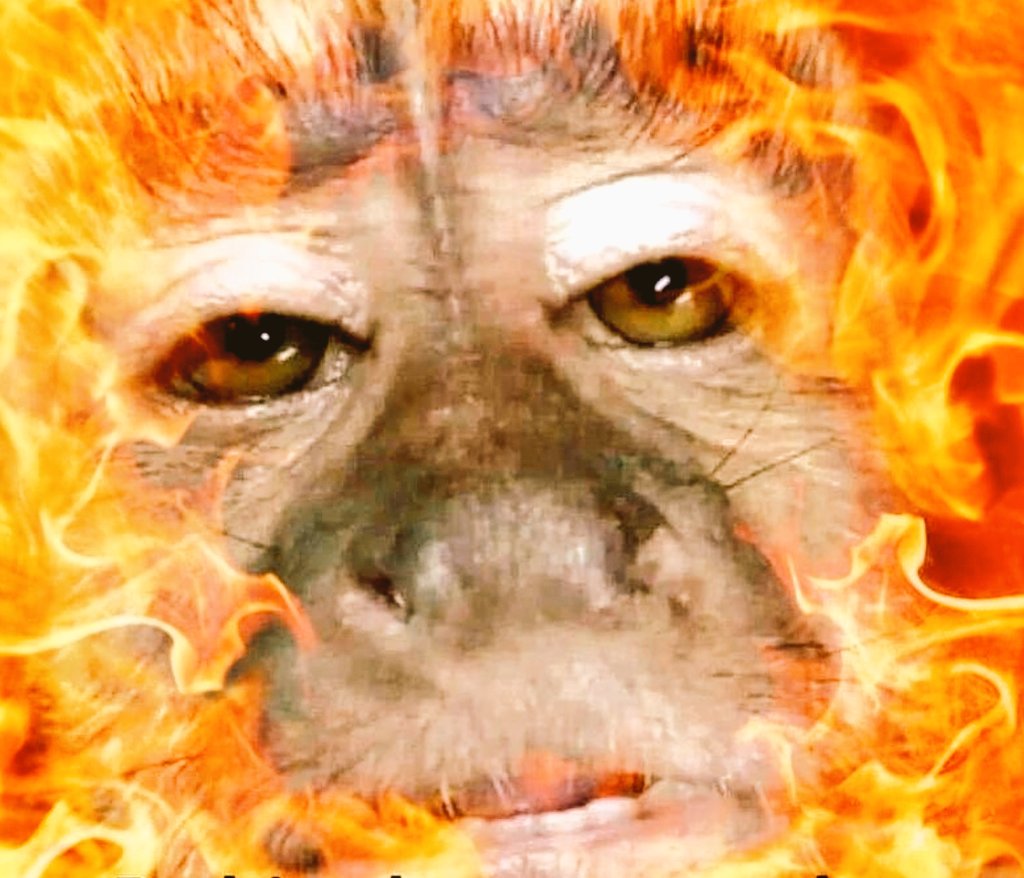 cuando te subes al carro