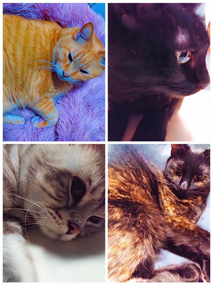 ヒデハイドヤスプニのパパ tweet media