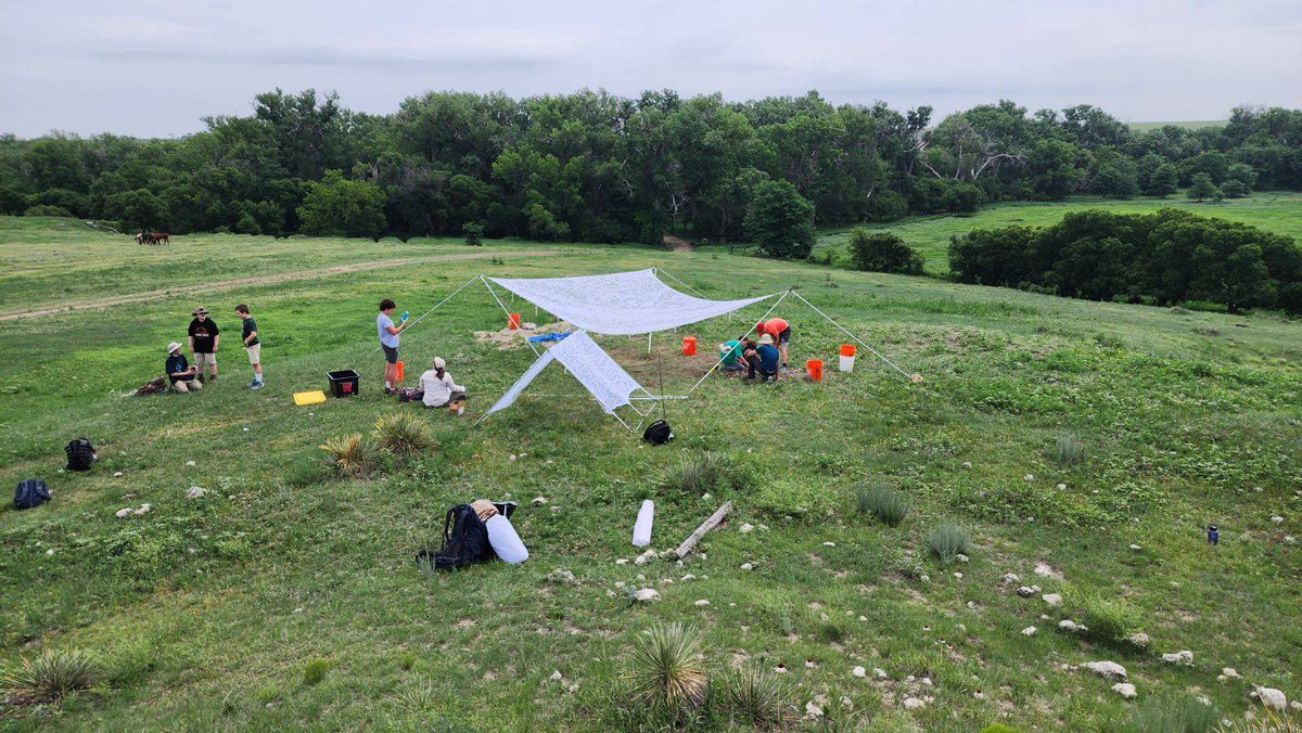 SternbergCamps's tweet image. Day two of our Paleontology Explorers: Kansas middle school camp at Minium Quarry! The group got the shade shelter finished and began cleaning out plants and dirt from the past year to reach fossil mammal bone material. 

#paleontology #summercamp